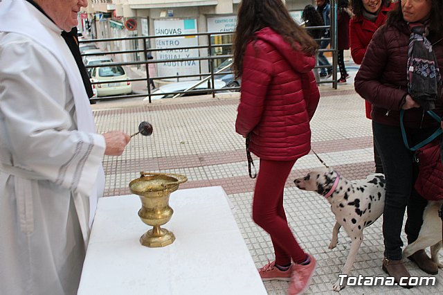 Bendicin de animales San Antn Totana 2019 - 464
