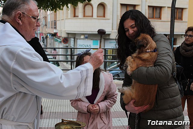 Bendicin de animales San Antn Totana 2019 - 467