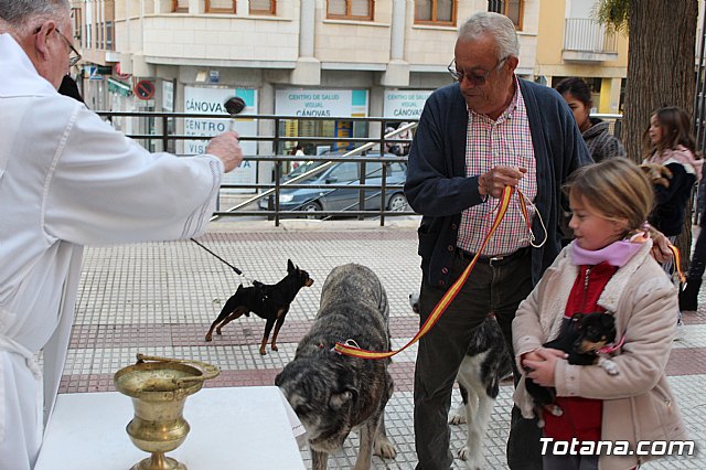 Bendicin de animales San Antn Totana 2019 - 470