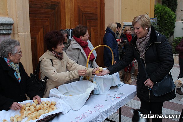 Bendicin de animales San Antn Totana 2019 - 471