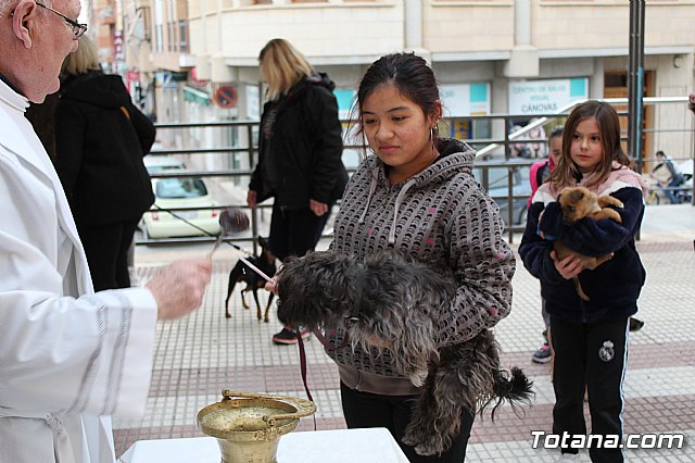 Bendicin de animales San Antn Totana 2019 - 473