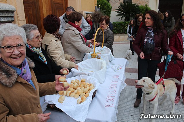 Bendicin de animales San Antn Totana 2019 - 474