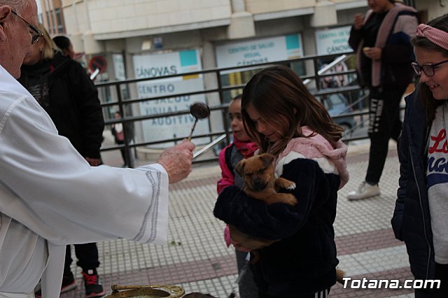 Bendicin de animales San Antn Totana 2019 - 476