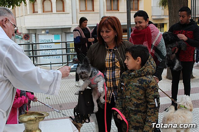 Bendicin de animales San Antn Totana 2019 - 478