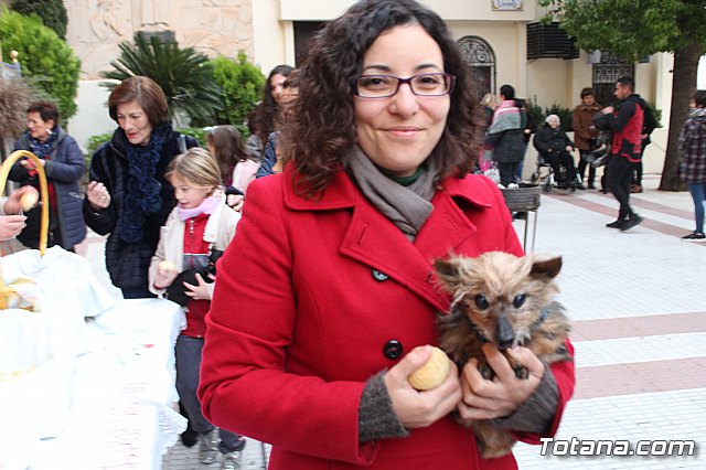 Bendicin de animales San Antn Totana 2019 - 479