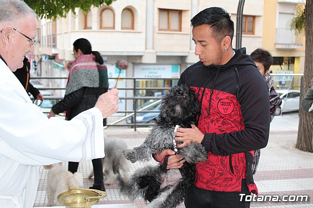 Bendicin de animales San Antn Totana 2019 - 481
