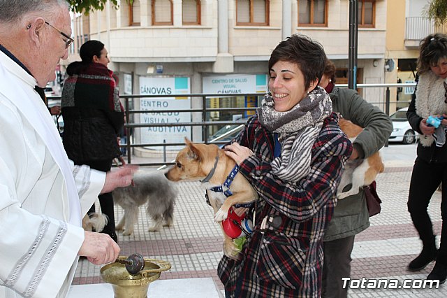Bendicin de animales San Antn Totana 2019 - 482