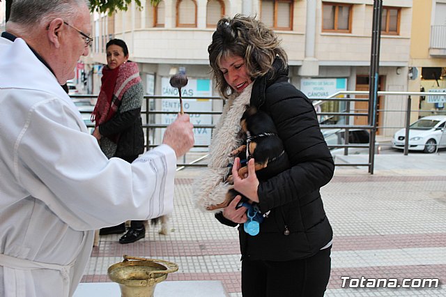 Bendicin de animales San Antn Totana 2019 - 485