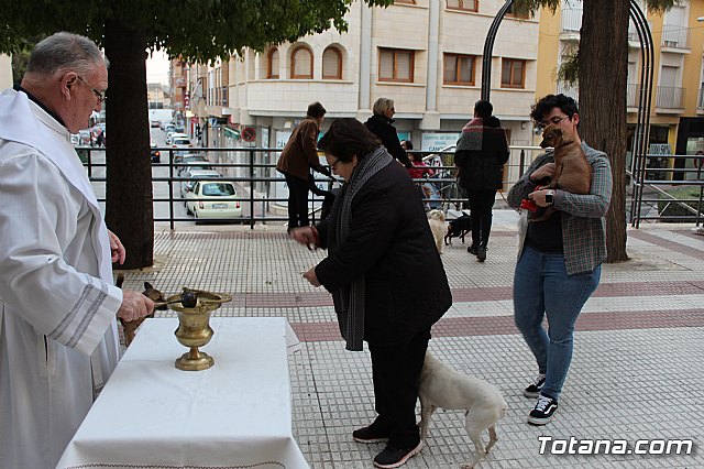 Bendicin de animales San Antn Totana 2019 - 487