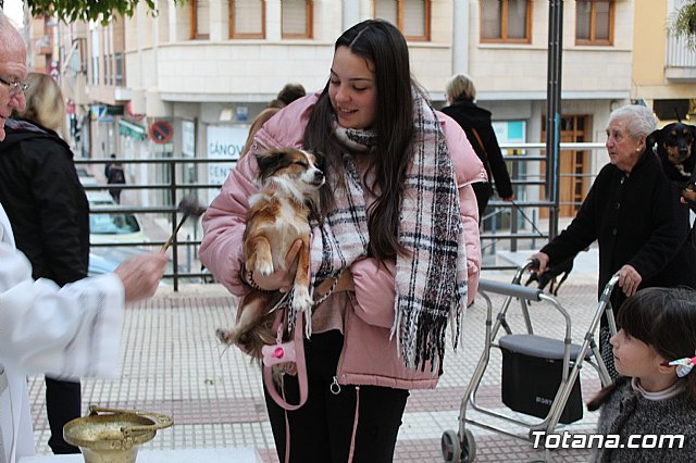 Bendicin de animales San Antn Totana 2019 - 489