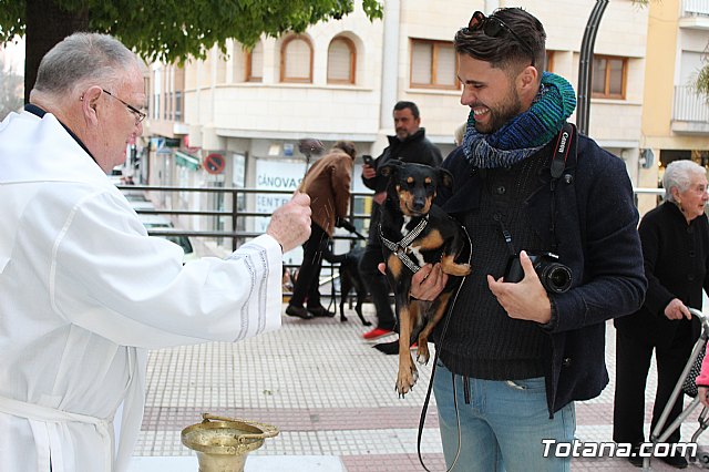 Bendicin de animales San Antn Totana 2019 - 490