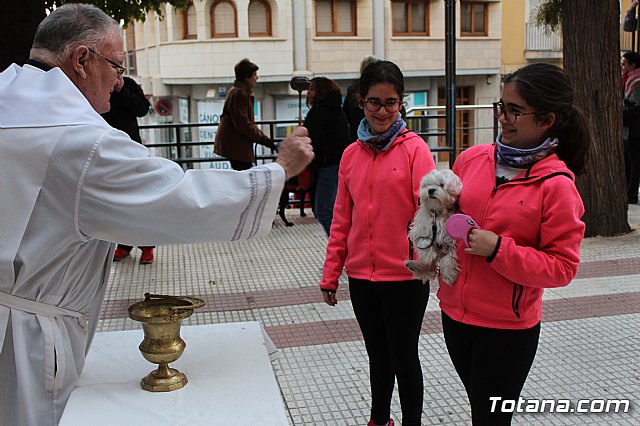 Bendicin de animales San Antn Totana 2019 - 491