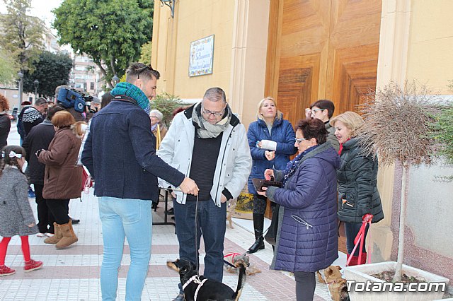 Bendicin de animales San Antn Totana 2019 - 492