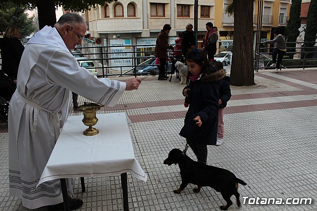 Bendicin de animales San Antn Totana 2019 - 493