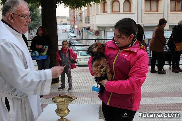 Bendicin de animales San Antn Totana 2019 - 494