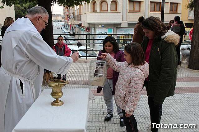 Bendicin de animales San Antn Totana 2019 - 496