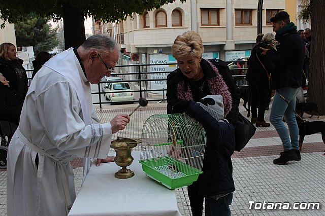 Bendicin de animales San Antn Totana 2019 - 498