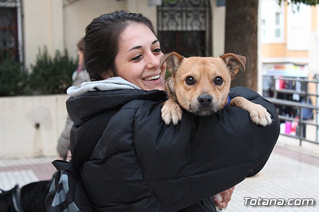 Bendicin de animales San Antn Totana 2019 - 500