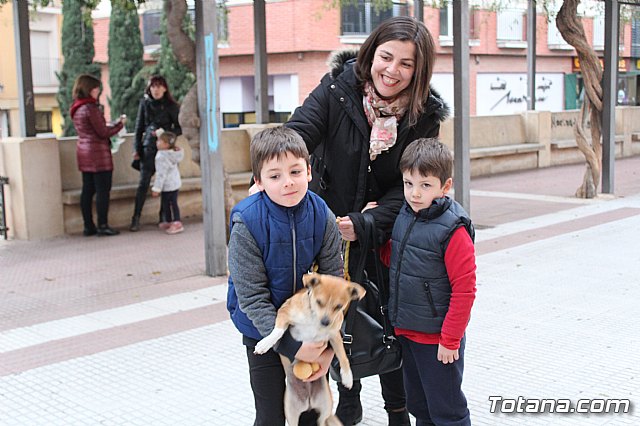 Bendicin de animales San Antn Totana 2019 - 501