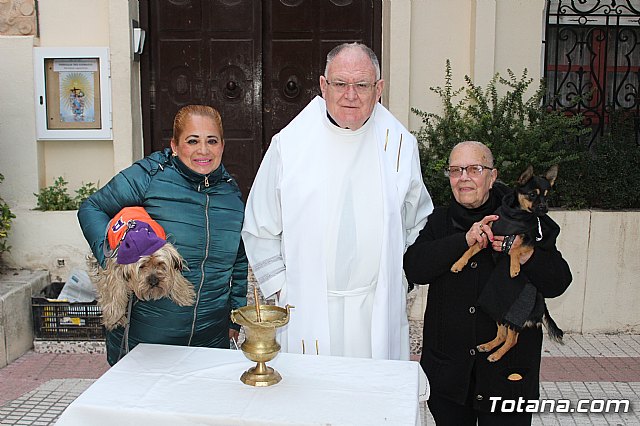 Bendicin de animales San Antn Totana 2019 - 503