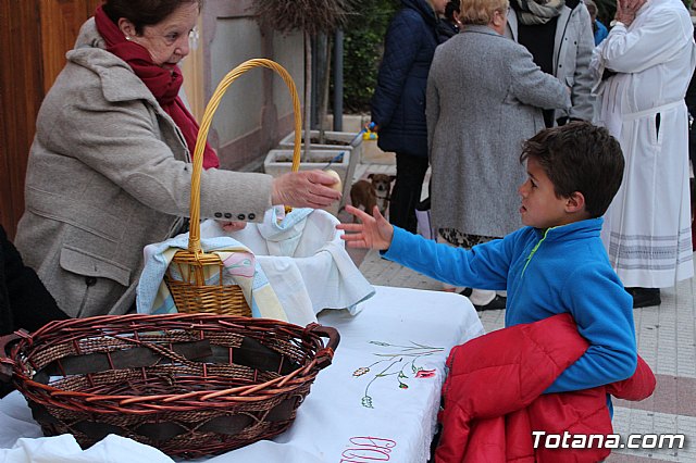 Bendicin de animales San Antn Totana 2019 - 506