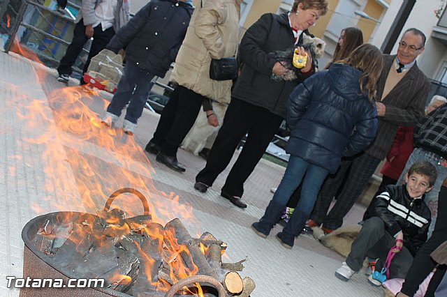 Los animales recibieron la bendicin en el da de su patrn, San Antn Abad - 2013 - 7