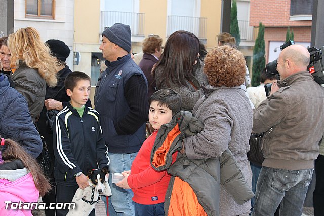 Los animales recibieron la bendicin en el da de su patrn, San Antn Abad - 2013 - 12