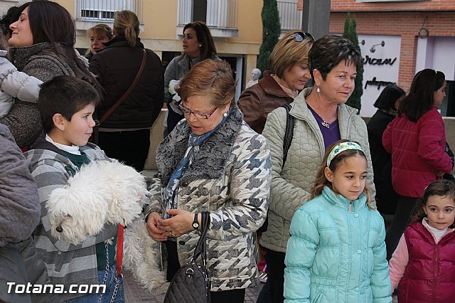 Los animales recibieron la bendicin en el da de su patrn, San Antn Abad - 2013 - 13