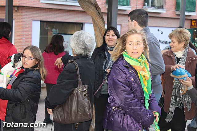 Los animales recibieron la bendicin en el da de su patrn, San Antn Abad - 2013 - 14