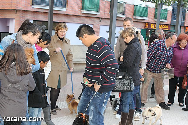Los animales recibieron la bendicin en el da de su patrn, San Antn Abad - 2013 - 16