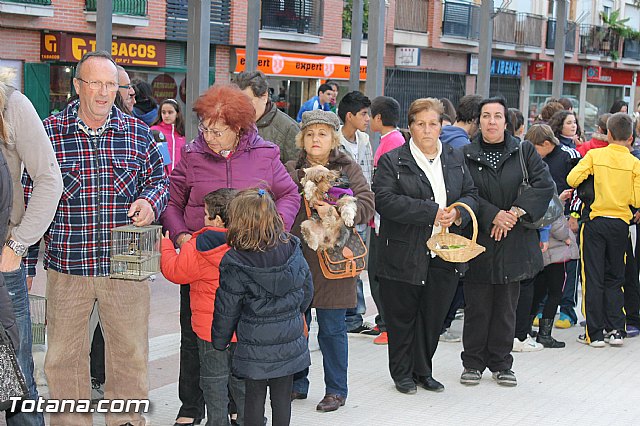 Los animales recibieron la bendicin en el da de su patrn, San Antn Abad - 2013 - 17