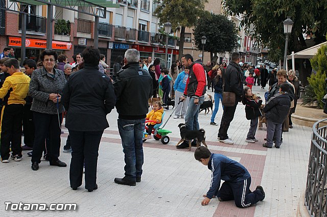 Los animales recibieron la bendicin en el da de su patrn, San Antn Abad - 2013 - 19
