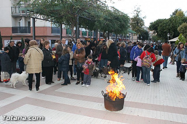 Los animales recibieron la bendicin en el da de su patrn, San Antn Abad - 2013 - 20