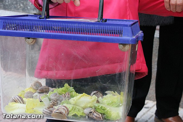 Los animales recibieron la bendicin en el da de su patrn, San Antn Abad - 2013 - 26