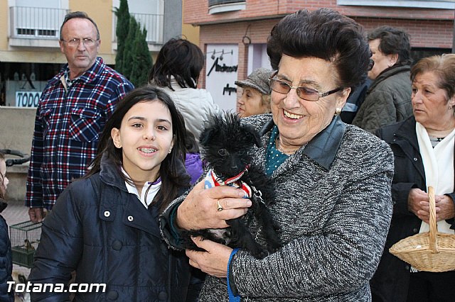Los animales recibieron la bendicin en el da de su patrn, San Antn Abad - 2013 - 33