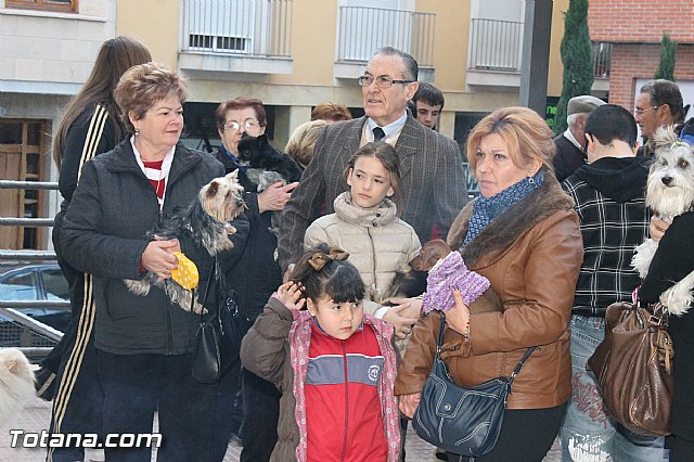 Los animales recibieron la bendicin en el da de su patrn, San Antn Abad - 2013 - 34