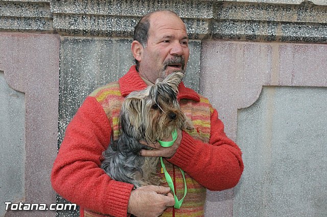 Los animales recibieron la bendicin en el da de su patrn, San Antn Abad - 2013 - 35