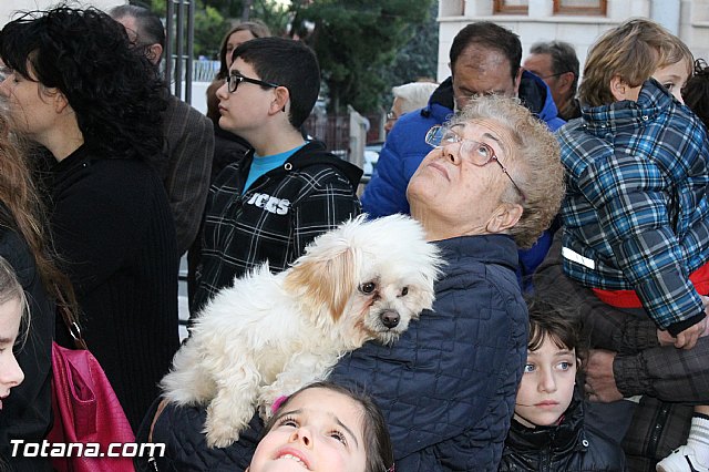 Los animales recibieron la bendicin en el da de su patrn, San Antn Abad - 2013 - 37