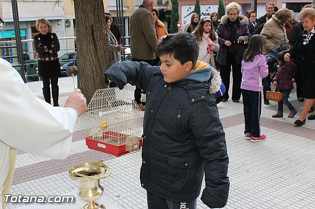 Los animales recibieron la bendicin en el da de su patrn, San Antn Abad - 2013 - 44