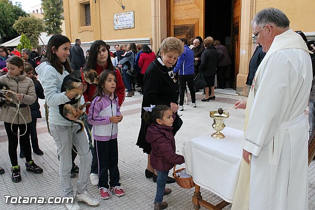 Los animales recibieron la bendicin en el da de su patrn, San Antn Abad - 2013 - 47