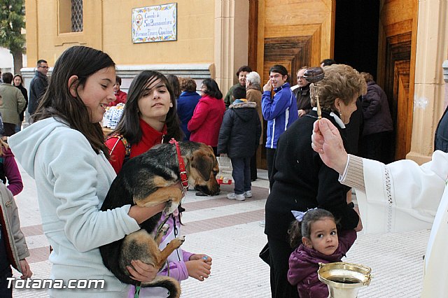 Los animales recibieron la bendicin en el da de su patrn, San Antn Abad - 2013 - 48