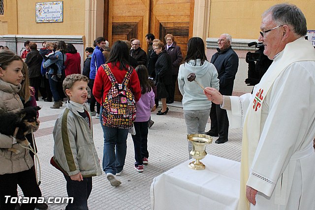 Los animales recibieron la bendicin en el da de su patrn, San Antn Abad - 2013 - 49
