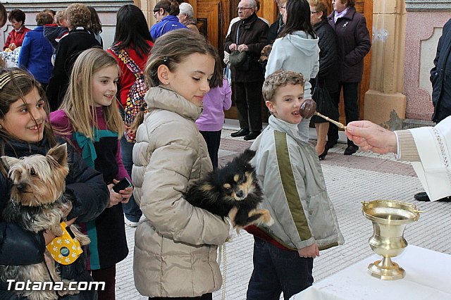 Los animales recibieron la bendicin en el da de su patrn, San Antn Abad - 2013 - 51