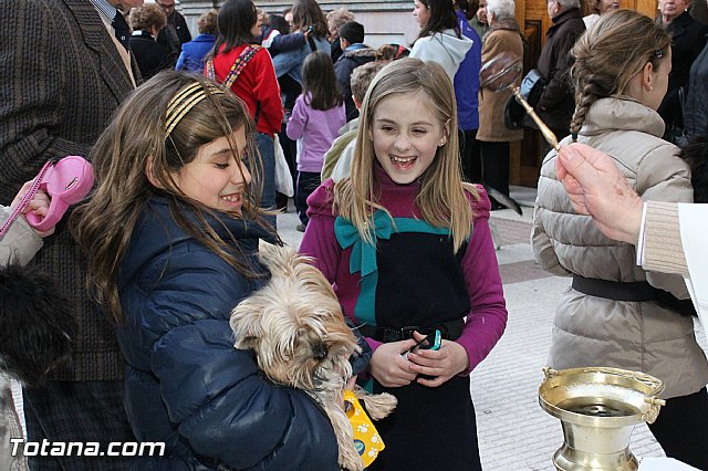 Los animales recibieron la bendicin en el da de su patrn, San Antn Abad - 2013 - 52