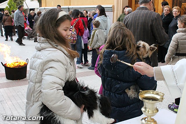 Los animales recibieron la bendicin en el da de su patrn, San Antn Abad - 2013 - 53