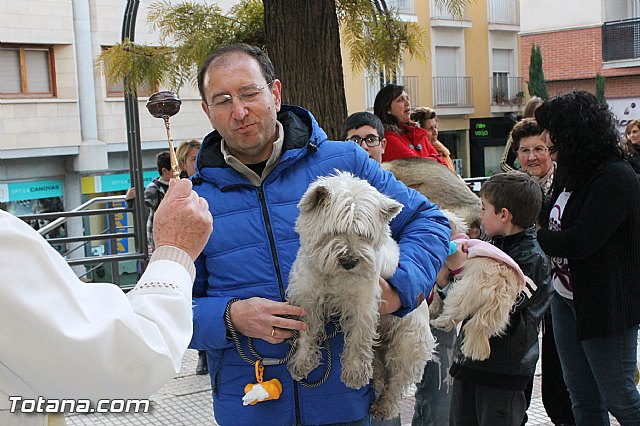 Los animales recibieron la bendicin en el da de su patrn, San Antn Abad - 2013 - 57