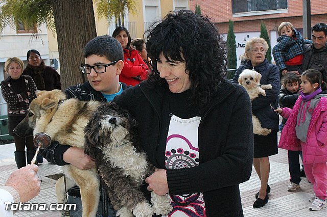 Los animales recibieron la bendicin en el da de su patrn, San Antn Abad - 2013 - 61