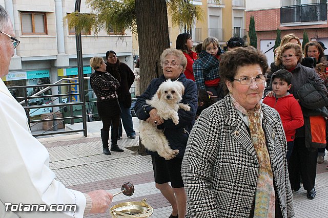Los animales recibieron la bendicin en el da de su patrn, San Antn Abad - 2013 - 64
