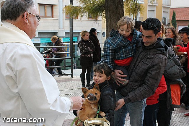 Los animales recibieron la bendicin en el da de su patrn, San Antn Abad - 2013 - 66