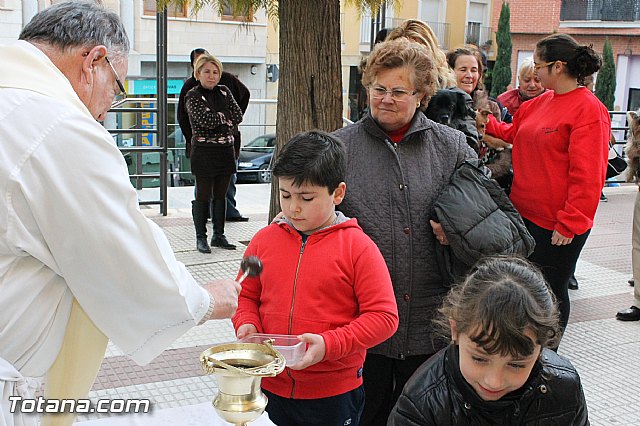 Los animales recibieron la bendicin en el da de su patrn, San Antn Abad - 2013 - 67